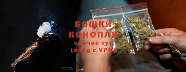 сатива Аркадак