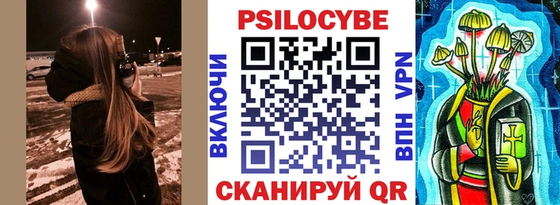где можно купить наркотик  Барабинск  Псилоцибиновые грибы Cubensis 