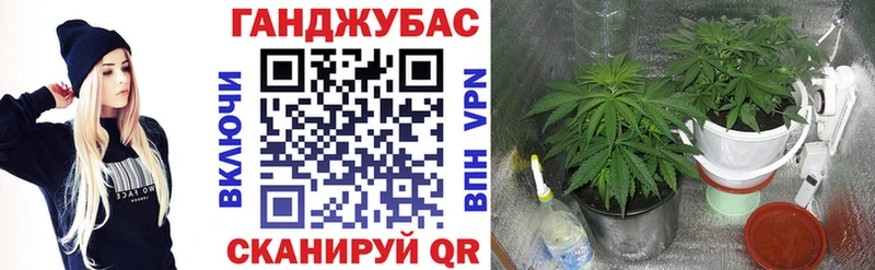 Конопля Ganja  Барабинск 